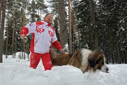 普京帶著寵物犬在雪地里散步,。