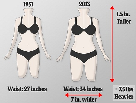 現(xiàn)今英國女性的平均腰圍已從1951年時的68厘米上升到86厘米,，而胸圍和臀圍并沒有相應增加，因此體型更接近于長方形