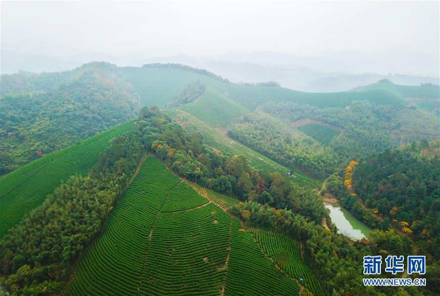 （圖文互動(dòng)）（5）建設(shè)好生態(tài)宜居的美麗鄉(xiāng)村——從“千萬工程”看習(xí)近平生態(tài)文明思想的生動(dòng)實(shí)踐和世界回響