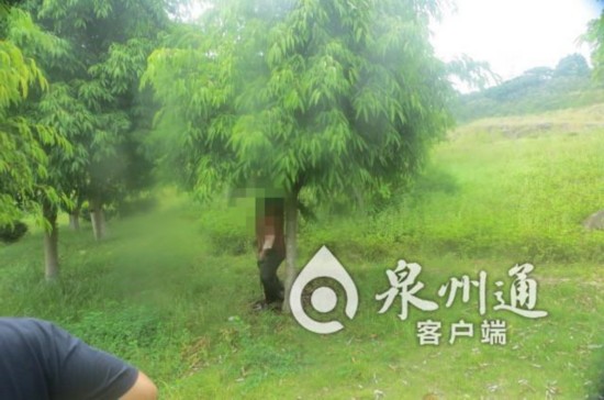 泉州一公園樹上現(xiàn)女尸 尸體被暴曬已浮腫